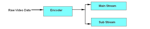 Dual Stream