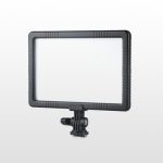 نور ثابت ۱۰۰ گلدن ایگل Golden eagle pad-100