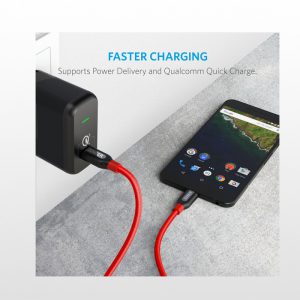 کابل شارژ USB-C به USB-C انکر A8187 - Image 11