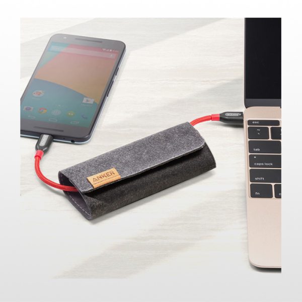 کابل شارژ USB-C به USB-C انکر A8187 - Image 6