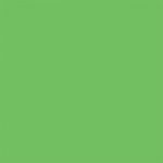 فون کاغذی Savage Widetone Seamless #46 Tech Green