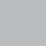 فون کاغذی Savage Widetone Seamless #09 Stone Gray