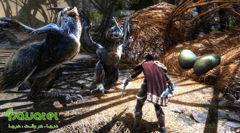 بازی Kingdoms of Amalur Re-Reckoning
