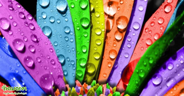 استفاده از رنگ ها در عکاسی