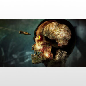 بازی ایکس باکس Zombie Army 4: Dead War