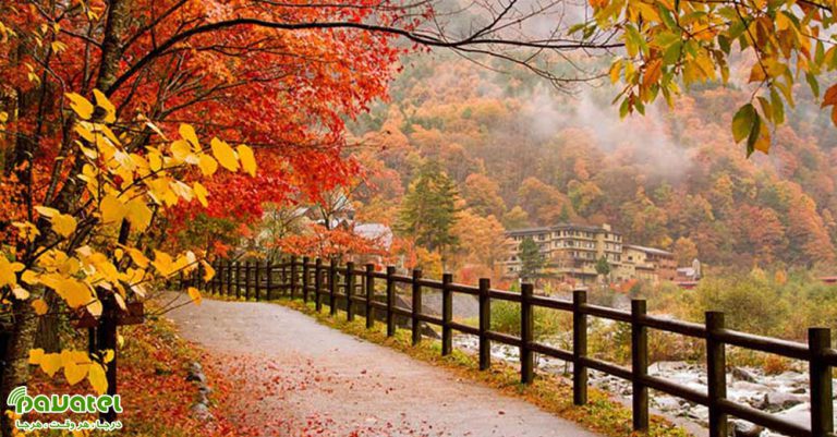 عکاسی در فصل پاییز