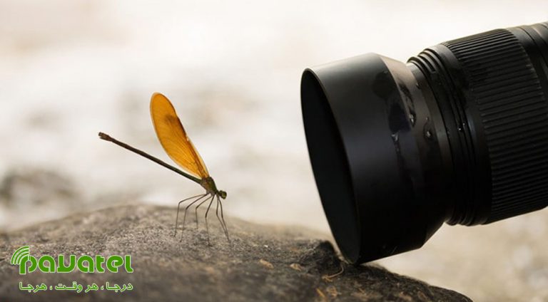 نکات کاربردی برای عکاسی ماکرو