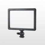 نور ثابت ۱۰۰ گلدن ایگل Golden eagle pad-100