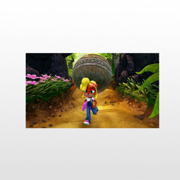 بازی پلی استیشن 4 - Spyro + Crash Game Bundle
