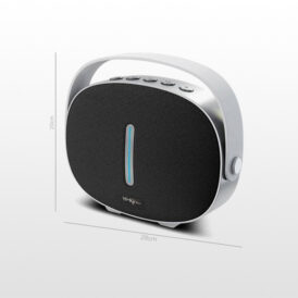 اسپیکر بلوتوث رم و فلش خور دبلیو کینگ W-King T8 Wireless Speaker 30W